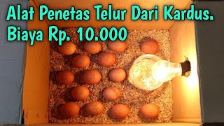 Download lagu Alat Penetas Telur Ayam Sederhana Dari Kardus Bekas mp3