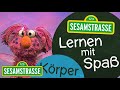 Lernen Im Lockdown Mit Der Sesamstraße Körper NDR