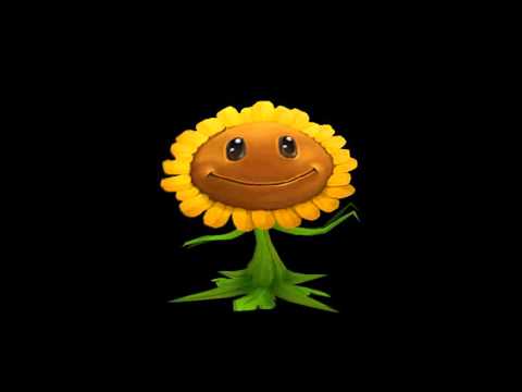 Cataclysm - Singing Sunflower