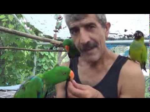 Nuai at Zakee Bird Sanctuary