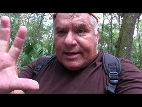 Dr. Matthew Johnson's portals are real - I found one!