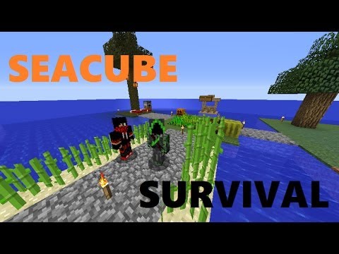 SeaCube #10 Miglioriamo la farm!!!!!