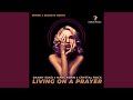 Living On A Prayer (feat. WHISK, Crystal Rock) [Whisk X Dj Selecta Edit]