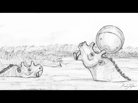 Tending to Uintatherium