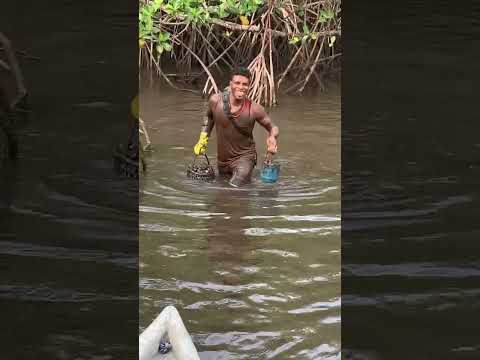 tumaco nariño