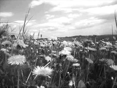 ĽH Ďatelinka - Po doline tichý vetrík veje; Či zhora či zdola (Slovak Folk Songs)