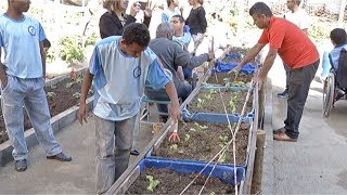 LAGOA DA PRATA: Apae cria horta adaptada para cadeirantes