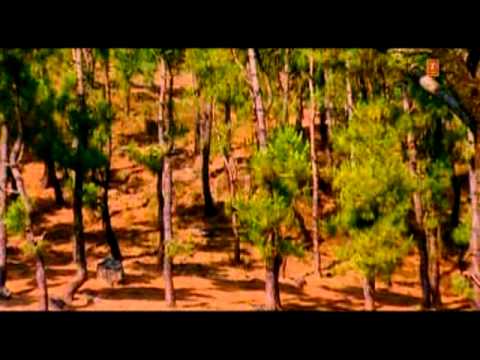 Meethi Meethi Sardi Hai [Full Song] Saajan Mera Us Paar Hai