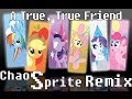 A True, True Friend (Chaos Sprite Remix) 