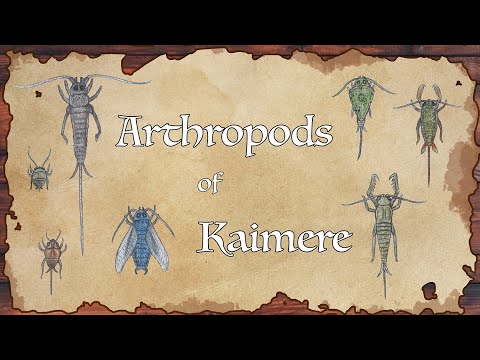 Arthropods of Kaimere