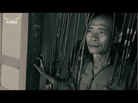 NGƯỜI LÍNH GIÀ XA QUÊ HƯƠNG - VÙNG TRỜI NGÀY ĐÓ | NHẬT NGÂN - LAM PHƯƠNG | DUY KHÁNH - THANH TUYỀN