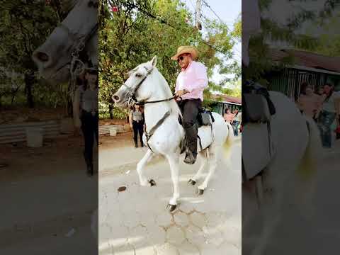 Desfile hípica el Sauce, León 🦁 honor a señora Santa Ana 2026.
