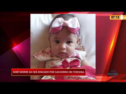 BebeÌ‚ morre ao ser atacado por cachorro em Teresina 01 09 20