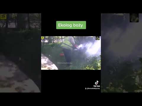 Ekolog boży ze szkolnej17