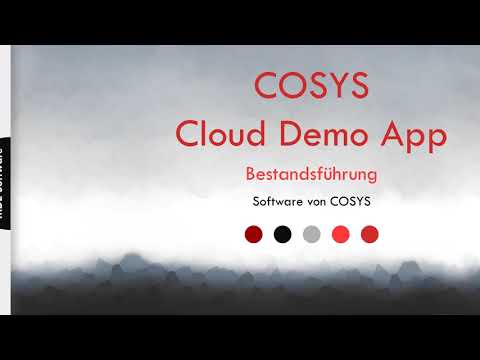COSYS Bestandsführung