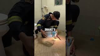 Download lagu This firefighter is a snake charmer ❤️ #shorts mp3