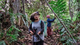 Download lagu Kehidupan di kampung dayak berpetualang di hutan belantara, mencari ikan di sungai pakai rakit apung mp3