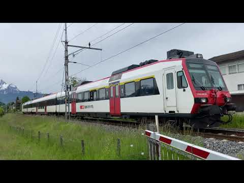 SBB S3 Luzern - Brunnen kurz vor dem Bahnhof Meggen