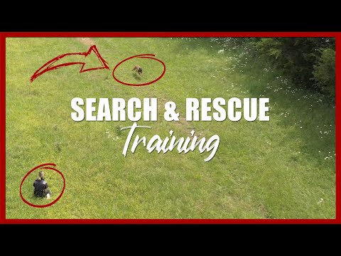 YouTube video about: How to become a sar dog handler?