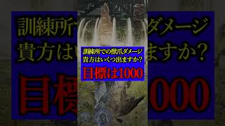 【ダメージ大会】あなたの獣爪ダメージ教えて下さい　　　　　　　　　　　　　　　　　　　　　　　　　　　　 #エルデンリング #ナイトレイン