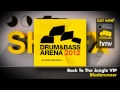 Drum&BassArena 2012 (Album Megamix) 