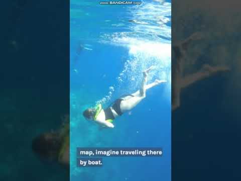 Where is Dominica located? |#dominica #shorts