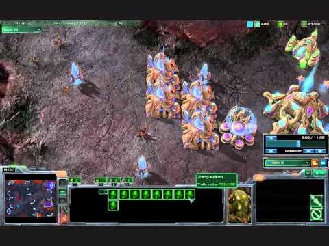 Team EvolutioN Kelvee ( P ) + Inferno ( Z ) vs PP