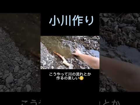 自然に毒蛇を追い払う方法は？傷つけずに追い払う5つのヒント  庭園