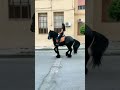 Horse Cute Dance Horse Shorts Viral Tiktok Animal