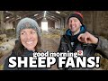 UNITED AT LAST!!! ...our SHEEPISH trip to the UK (part one) ft. @TheSheepGame & @CrawfordsFarm1