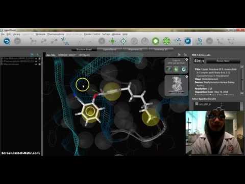 Pharmacophore modelling-Structure Based Drug Design tutorial