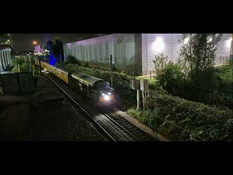 Green 37667 On The Blue Laser Tester