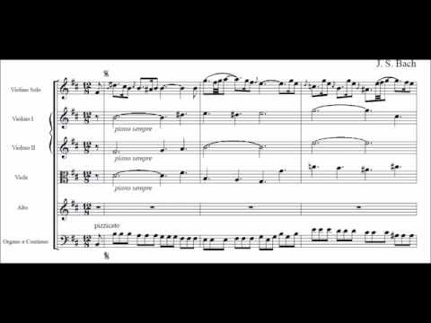 Bach: Erbarme dich, mein Gott (Matthäus-Passion) - Eric Jurenas, countertenor