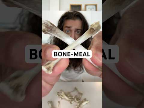 How to make bone-meal with leftover chicken bones! creative explained