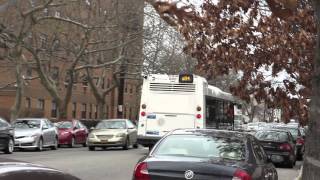 NYCT Buses: 2015 Nova LFS  8420 Q84 detouring via Linden Blvd and 167th st