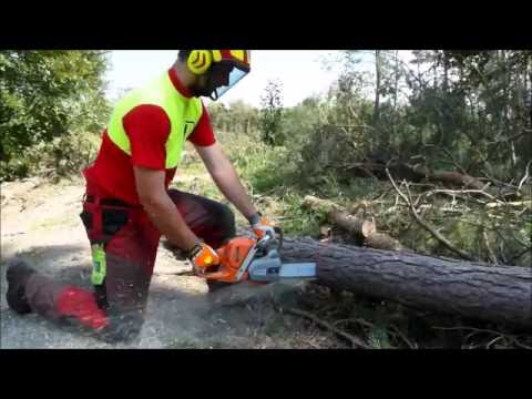 Stechschnitt mit der Motorsäge, Rückschlag / Kickback verhindern