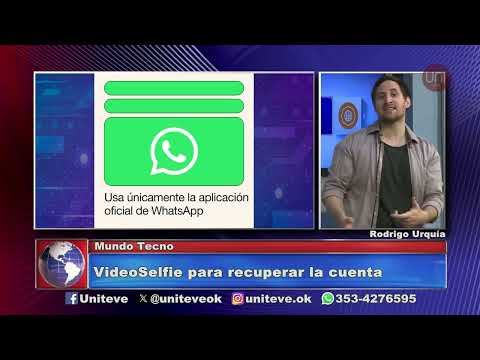WhatsApp habilitó la VideoSelfie