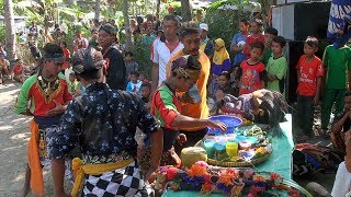 Download lagu Janturan Ebeg Banyumasan Kusuma sari live Gandrungmanis Gandrungmangu Cilacap 25 agustus 2018 part 1 mp3