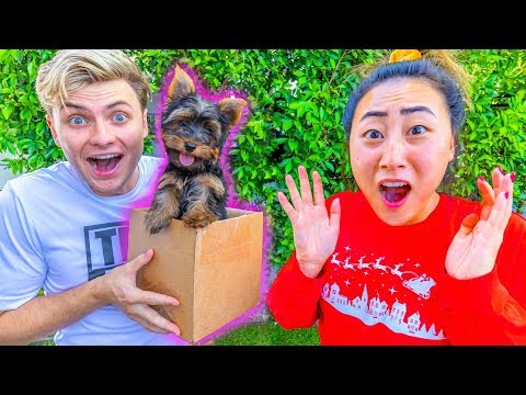 BOYFRIEND SURPRISES ME WITH A PUPPY!!