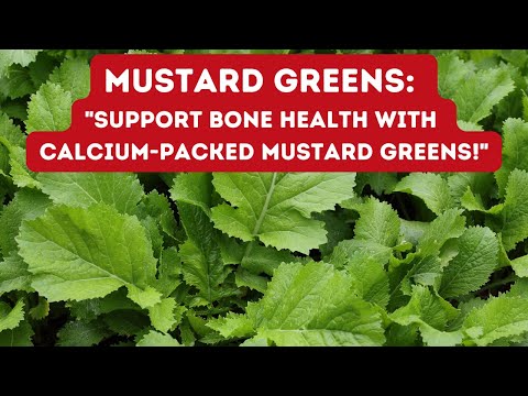 UNLOCKING THE HEALTH BENEFITS OF MUSTARD GREENS
