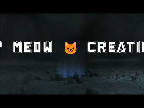 grand opening sp meow creation