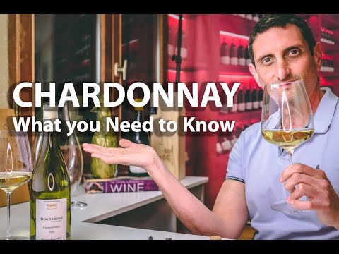 Chardonnay Wine 101  - Top $$$, Judgement of Paris, Best Wineries