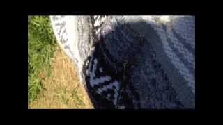 Della Mae - &quot;PineTree&quot; Americana Stage Merlefest 2014