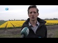 Verzilting na droge zomer kan flink probleem worden