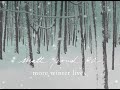Matt Pond PA — In Winter (feat. Laura Burhenn and Steady Holiday)