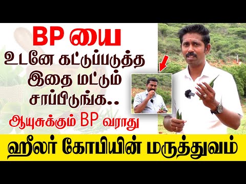 BP யை உடனே கட்டுப்படுத்த இதை மட்டும் சாப்பிடுங்க..ஆயுசுக்கும் BP வராது 😀