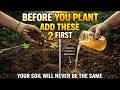 Before You Plant Anything — Drop These 2 Free Ingredients in the Hole First