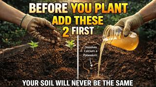 Before You Plant Anything — Drop These 2 Free Ingredients in the Hole First