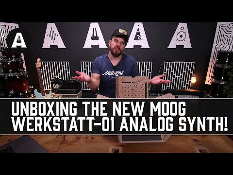 Build Your Own Moog Synthesizer for Under £200?! - Moog Werkstatt-01 Analog Synth