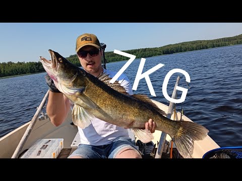 KAVERILLE UUSI KUHAENNÄTYS!|HAUEN JA KUHAN KALASTUSTA